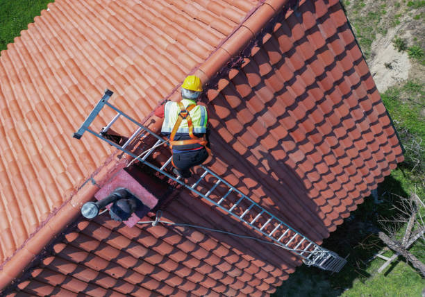 Best Skylights  in Evadale, TX